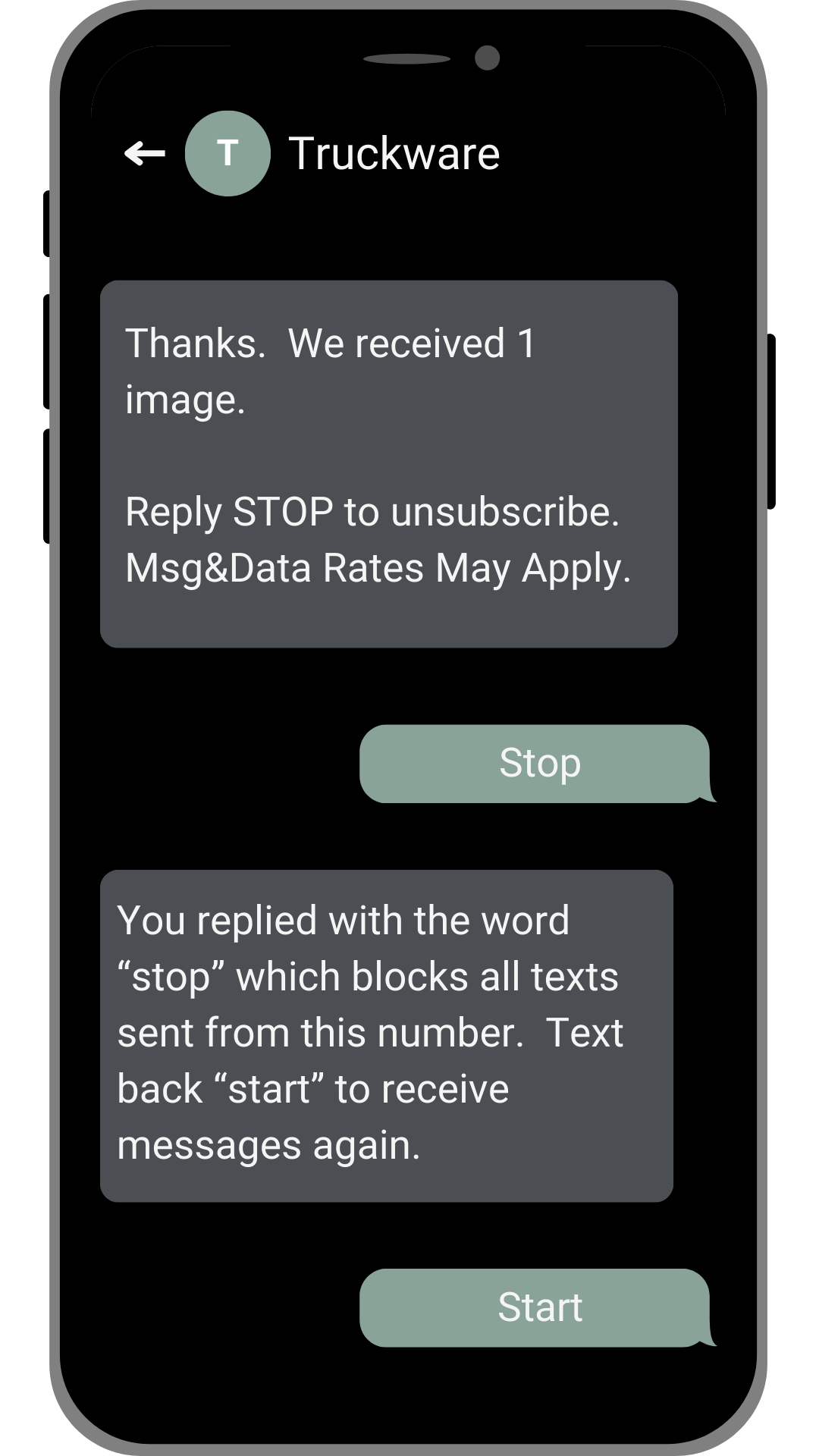 2-First Image Before Opt-in.png